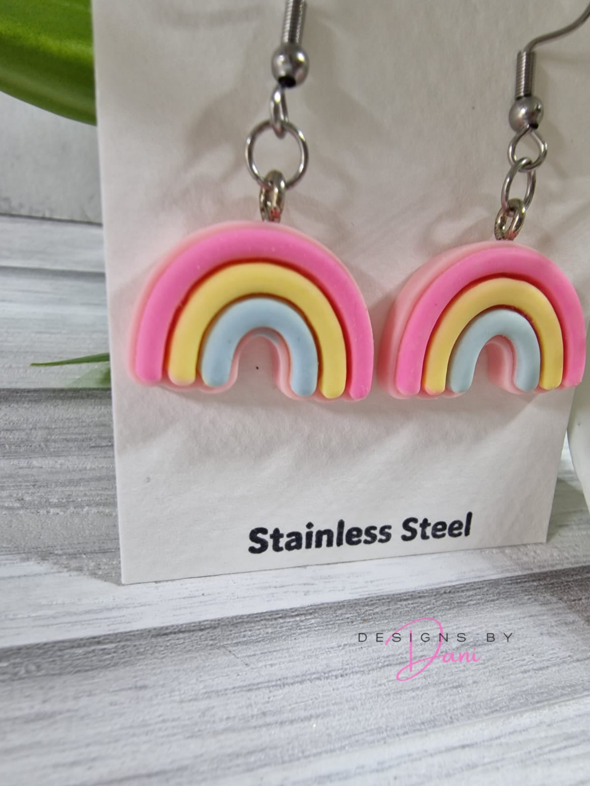 Cute rainbow Earring Pair